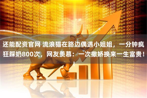 还能配资官网 流浪猫在路边偶遇小姐姐，一分钟疯狂踩奶800次，网友羡慕：一次撒娇换来一生富贵！