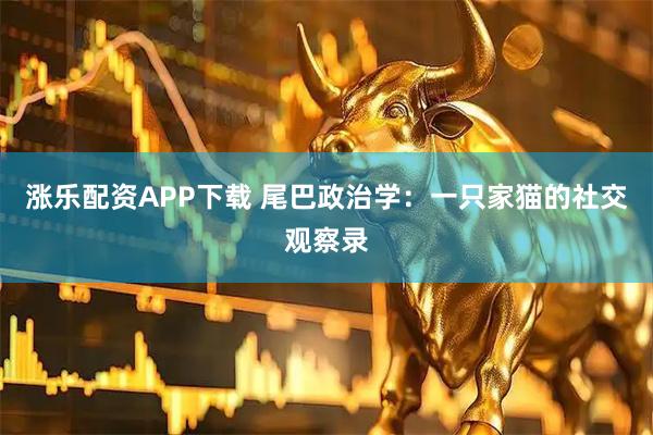 涨乐配资APP下载 尾巴政治学：一只家猫的社交观察录