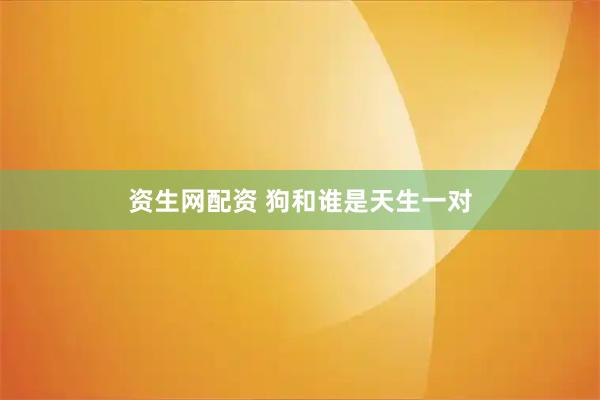 资生网配资 狗和谁是天生一对