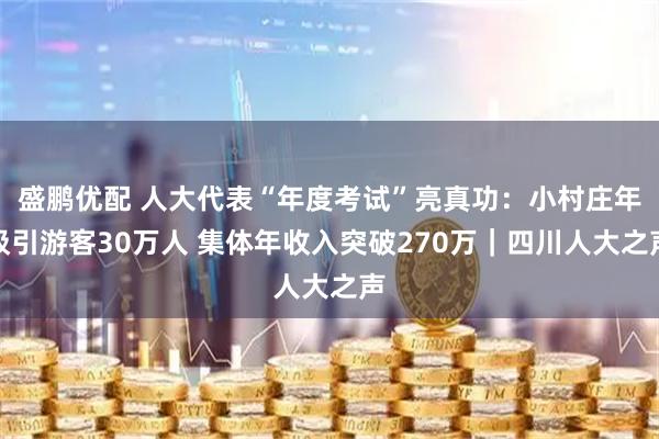 盛鹏优配 人大代表“年度考试”亮真功：小村庄年吸引游客30万人 集体年收入突破270万｜四川人大之声