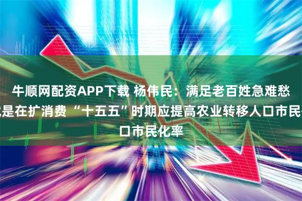 牛顺网配资APP下载 杨伟民：满足老百姓急难愁盼就是在扩消费 “十五五”时期应提高农业转移人口市民化率