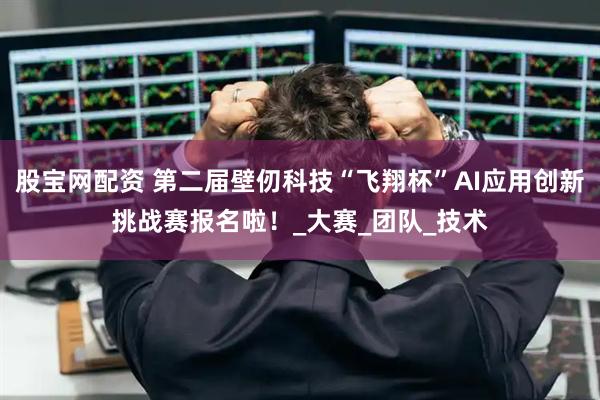 股宝网配资 第二届壁仞科技“飞翔杯”AI应用创新挑战赛报名啦！_大赛_团队_技术