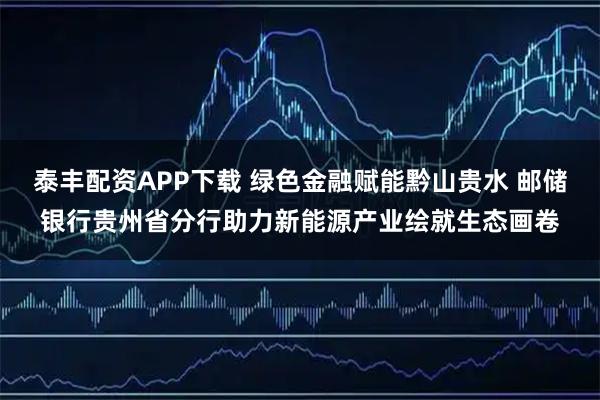 泰丰配资APP下载 绿色金融赋能黔山贵水 邮储银行贵州省分行助力新能源产业绘就生态画卷